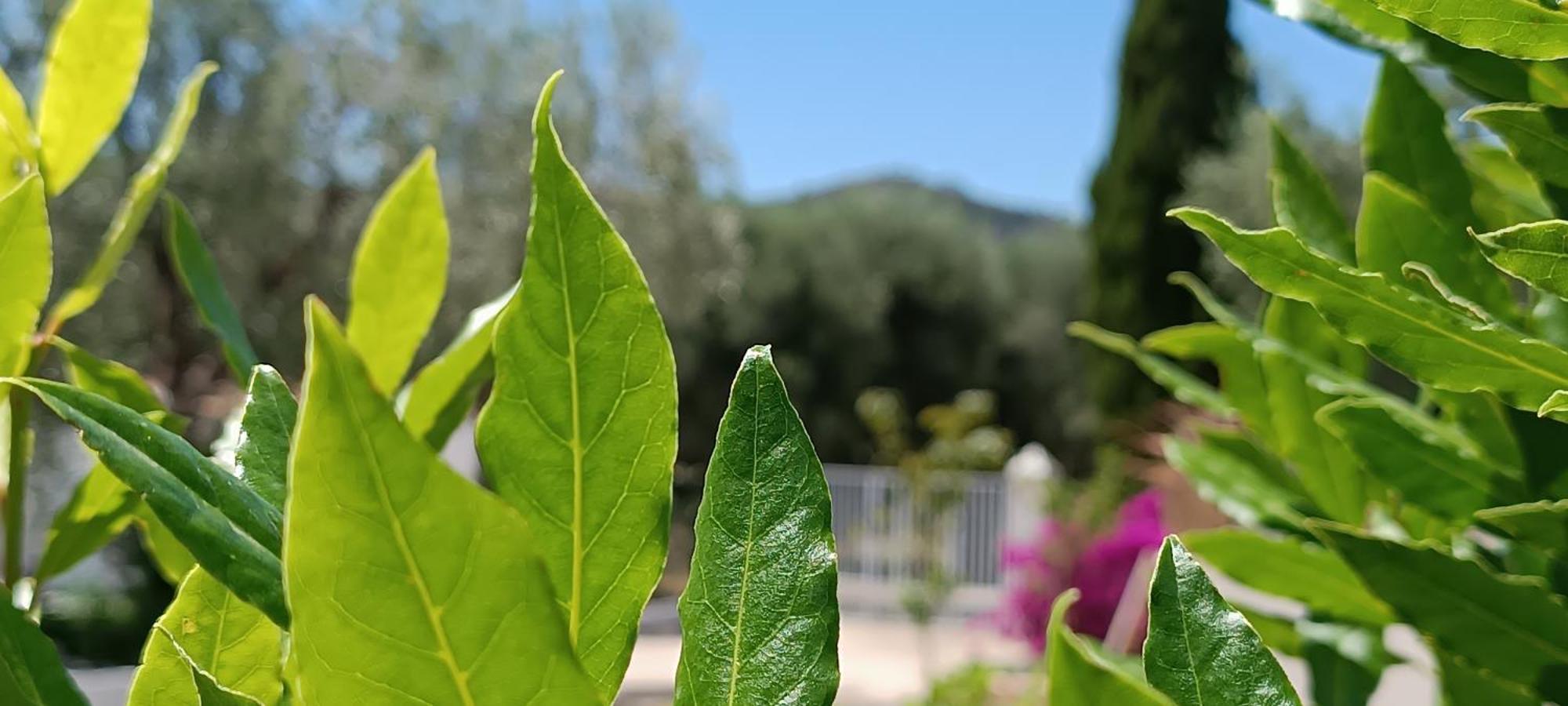 B&B Sperlonga Mattinata Extérieur photo