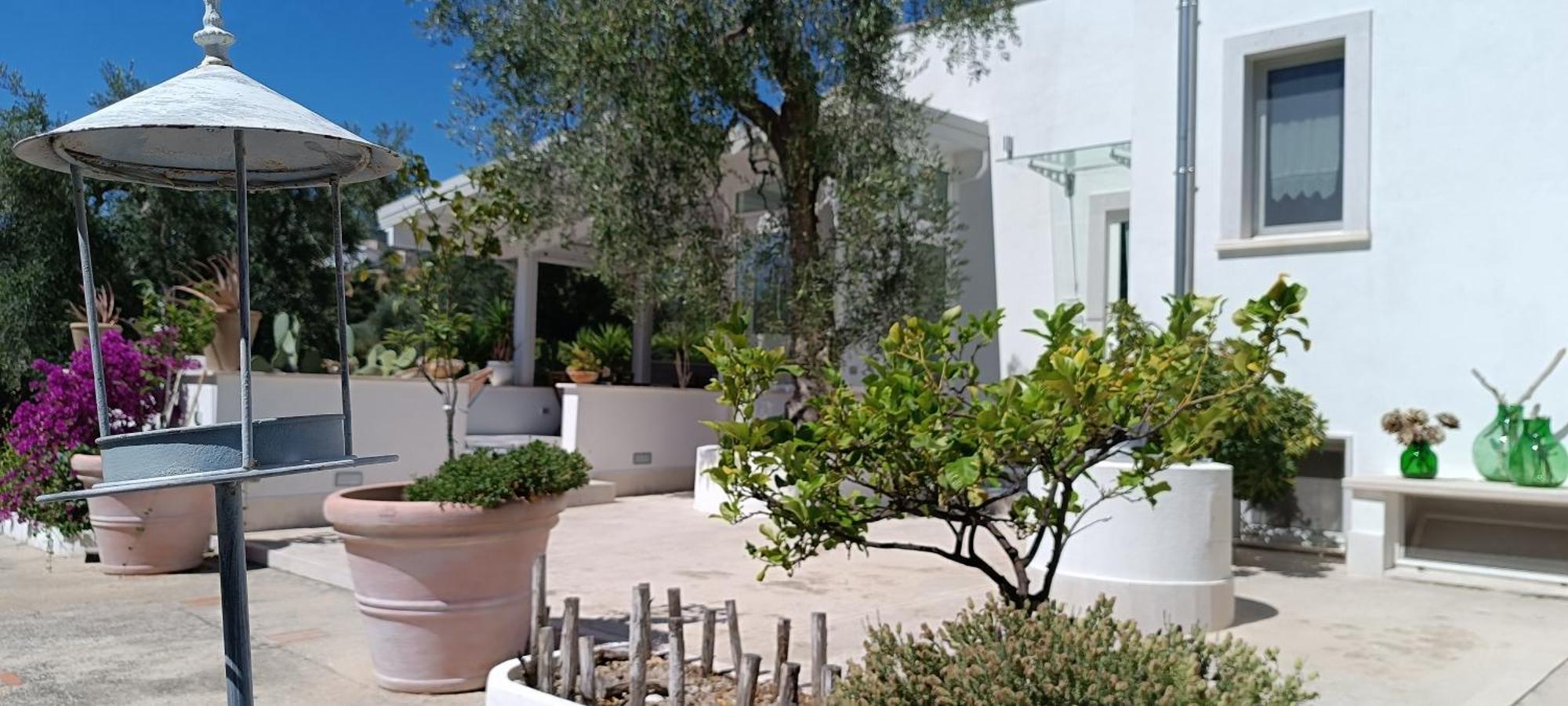 B&B Sperlonga Mattinata Extérieur photo